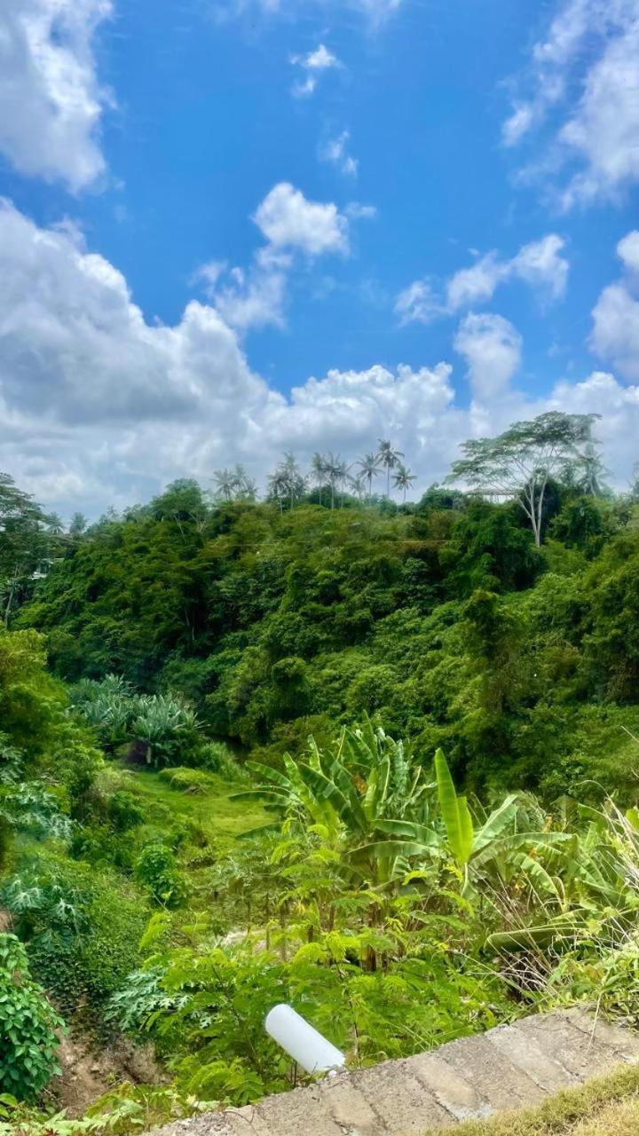 ホテル Solana Wellness Retreat ウブド エクステリア 写真